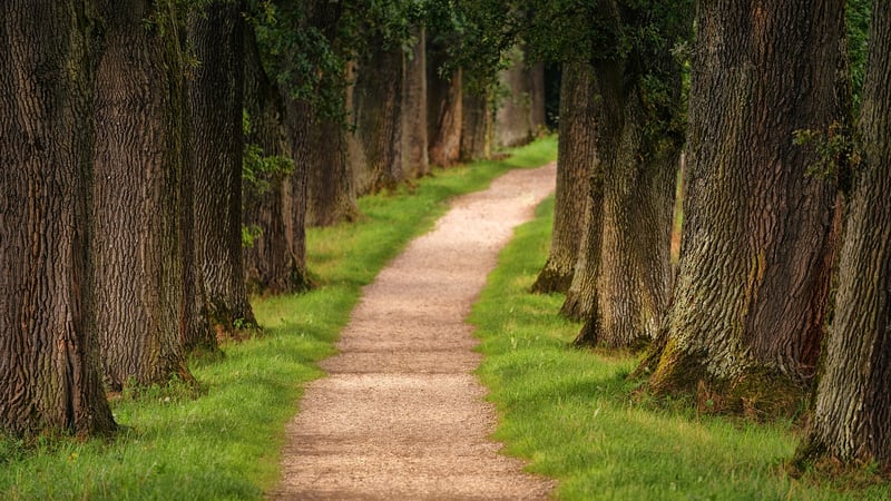 Hike majestic trails