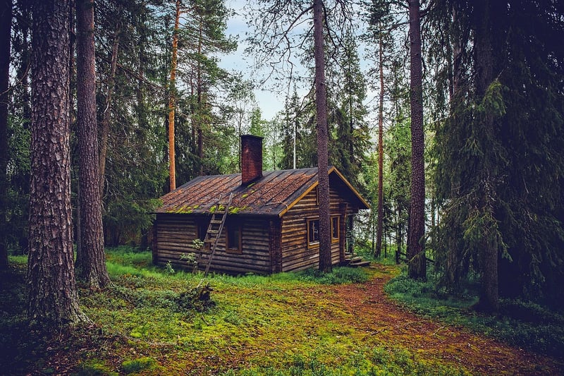 Secluded Cabin
