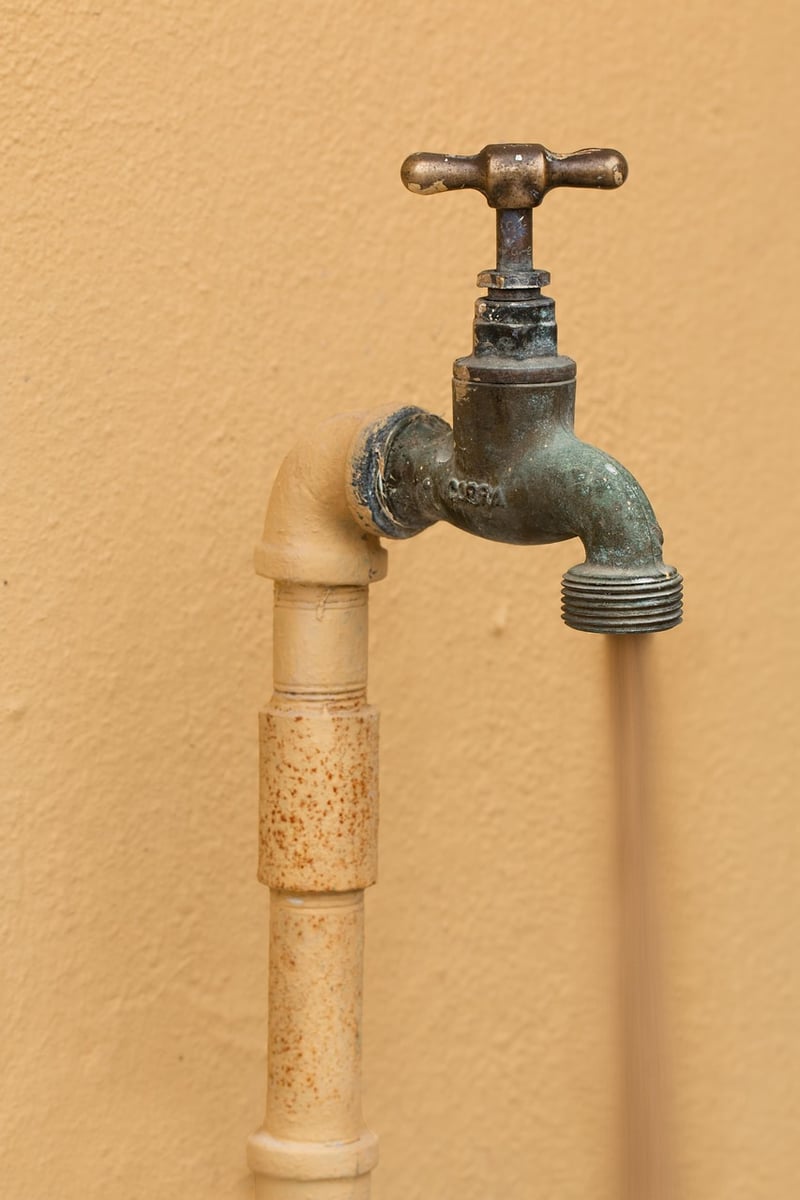 Portable Water Filter